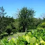 Apartment Mariaje